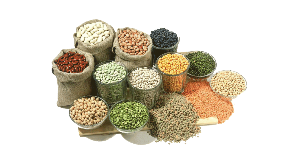 Legumes